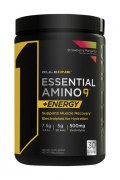Заказать Rule 1 Pre Essential Amino 9 345 гр