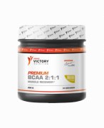 Заказать SV Nutrition Premium BCAA 2:1:1 204 гр